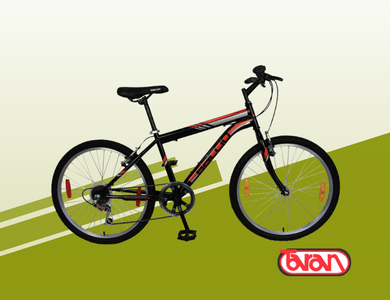BICICLETA MONTAÑA BACCIO ALPINA MAN RODADO 24