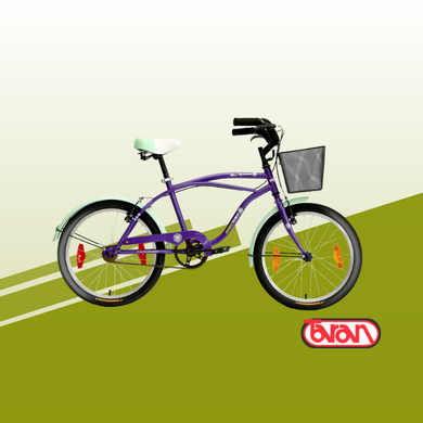 BICICLETA INFANTIL NIÑA BACCIO MISS IPANEMA RODADO 20